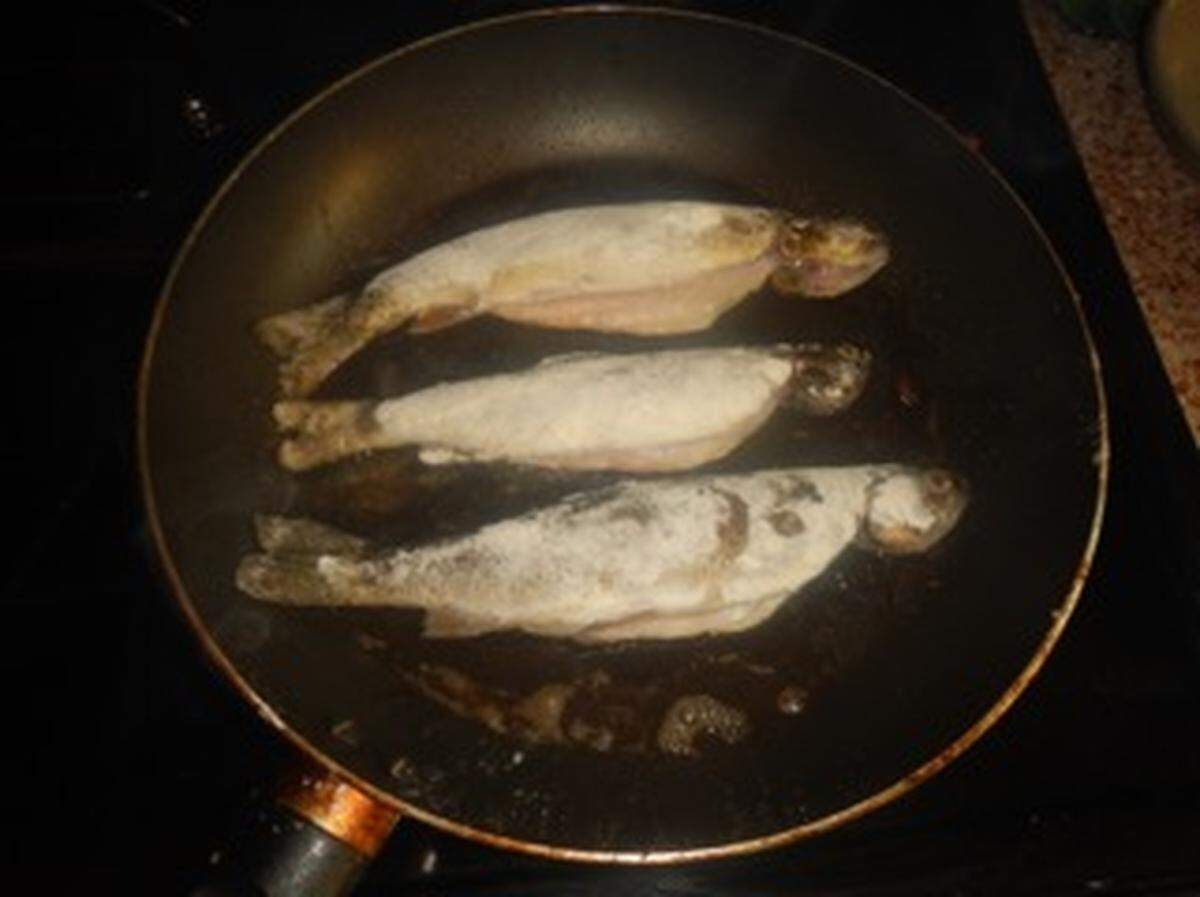 A trio of trout are doused with flour and ready to be fried in hot bacon grease.