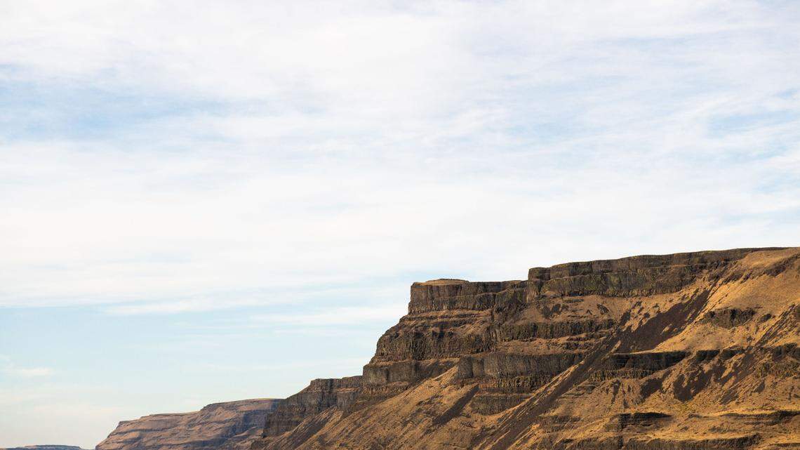 1st of kind project near Tri-Cities may pave way for global greenhouse solutions