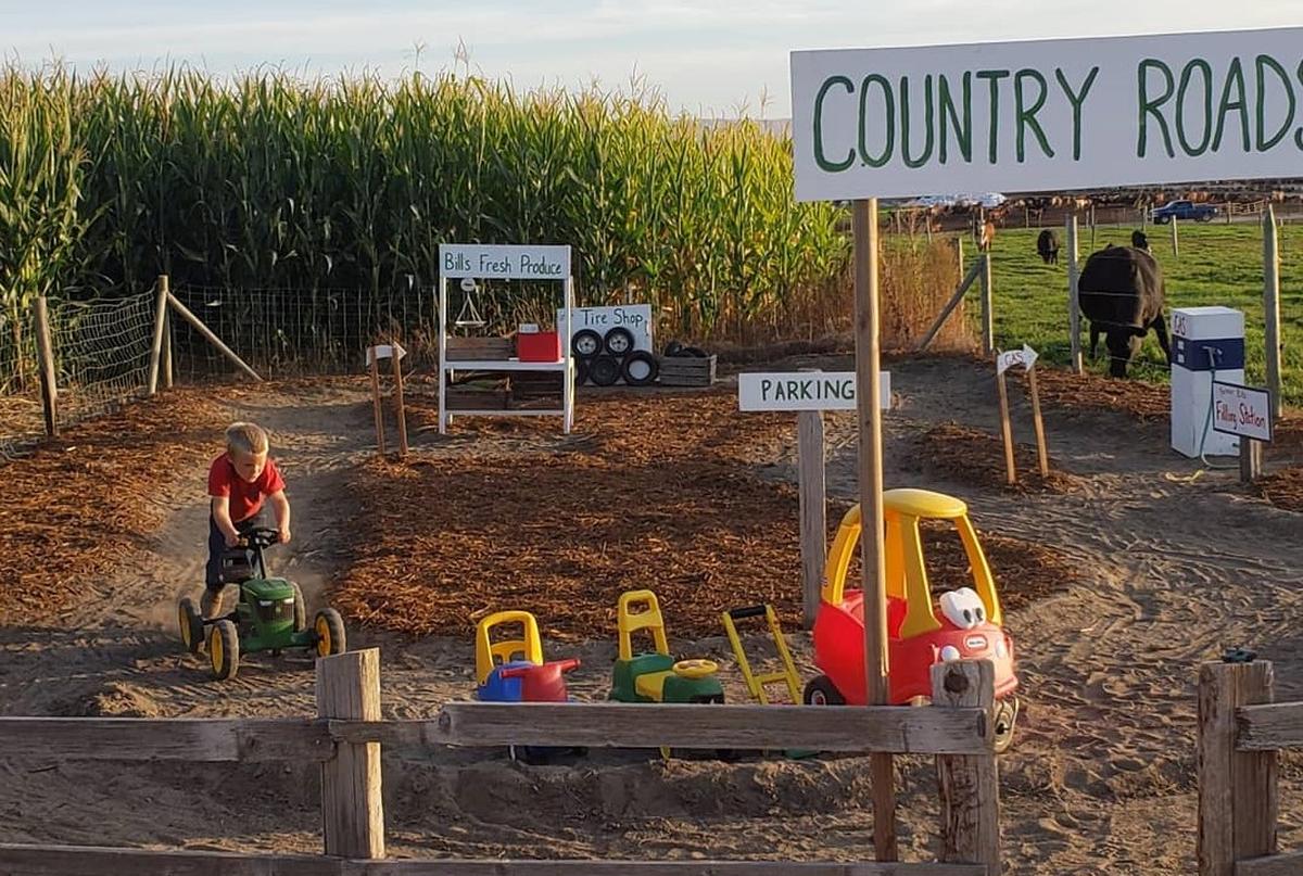 Bill’s Berry Farm’s annual Pumpkin Festival will open Sept. 26 at 3674 N. County Line Road in Grandview. The Little Farms area for children 5 and younger is among many features offered in addition to a pumpkin patch.
