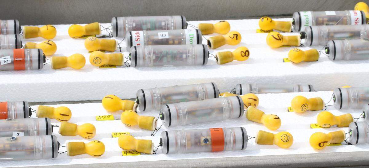 The Sensor Fish developed by Pacific Northwest National Laboratory is now commercially available for studying the stresses on fish as they travel through specific dams around the world.