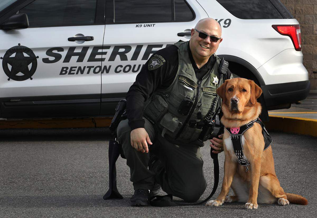 Benton County deputy Brett Hansen, the school resource officer at River View High School in Finley, is the handler of the agency’s newest K9 officer named Blaze. The lab/golden retriever mix is trained in finding hidden electronic devices. Blaze will primarily be used in the regional Internet Crimes Against Children task force.