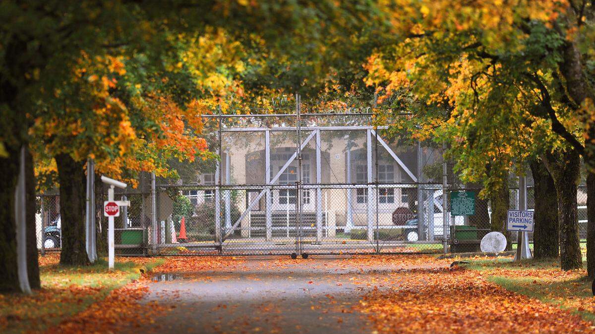Leaves fall from trees that lead to the front gate of Maple Lane School in Thurston County in this photo taken in 2010 before it was closed in 2011.