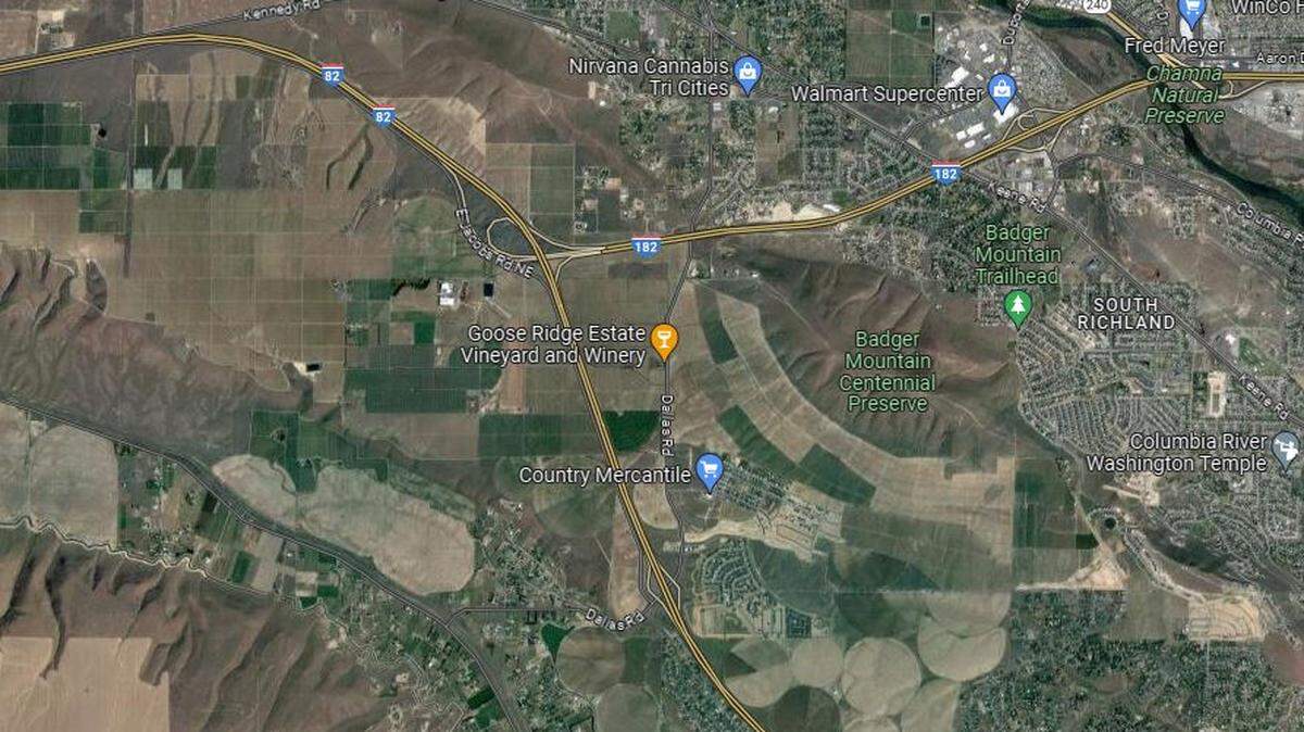 A Puyallup man died in a crash on Interestate 182 after losing control of his truck.