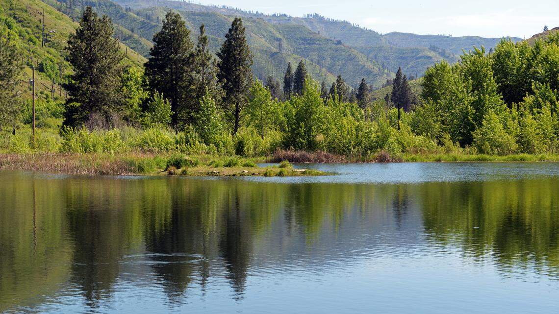 What changes are needed at this wildlife area popular with Tri-Cities residents?