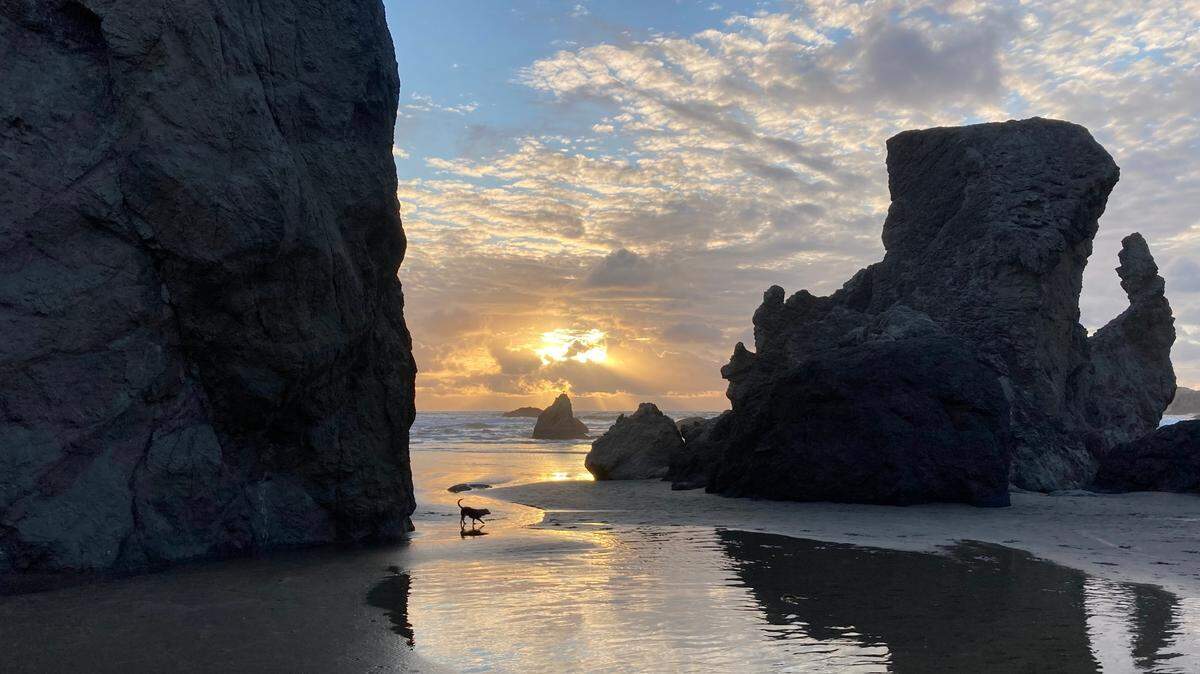 “Who knows what will catch your eye while “combing” the beach?” says Spiritual Life writer Tim Ledbetter. “That’s part of the intrigue—not knowing what you will see, or finding the unexpected.”