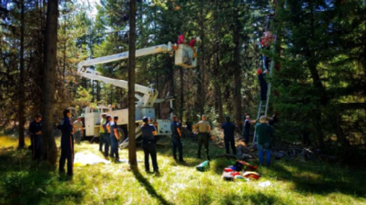 An Oregon hunter was placed in a medical coma after he was found hanging upside-down from a tree in the woods. He had gotten tangled in his safety harness and hung there for two days, officials said. His heart stopped during the rescue.