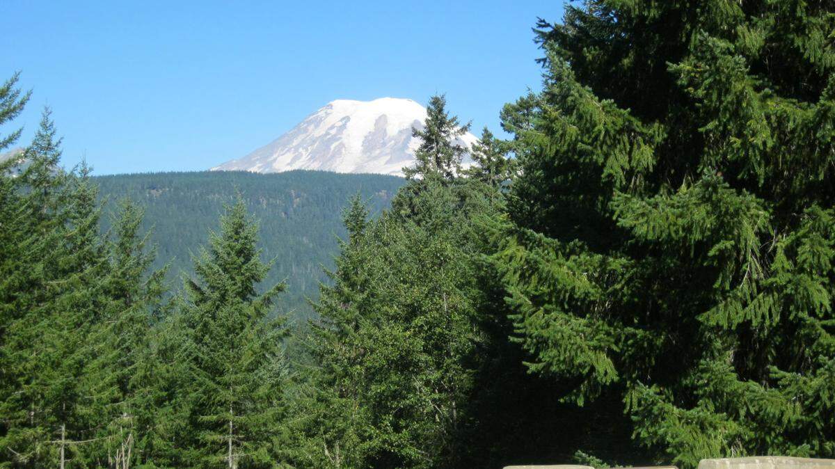 This tiny WA town has an annual town-wide flea market. It’s right next to a scenic lookout