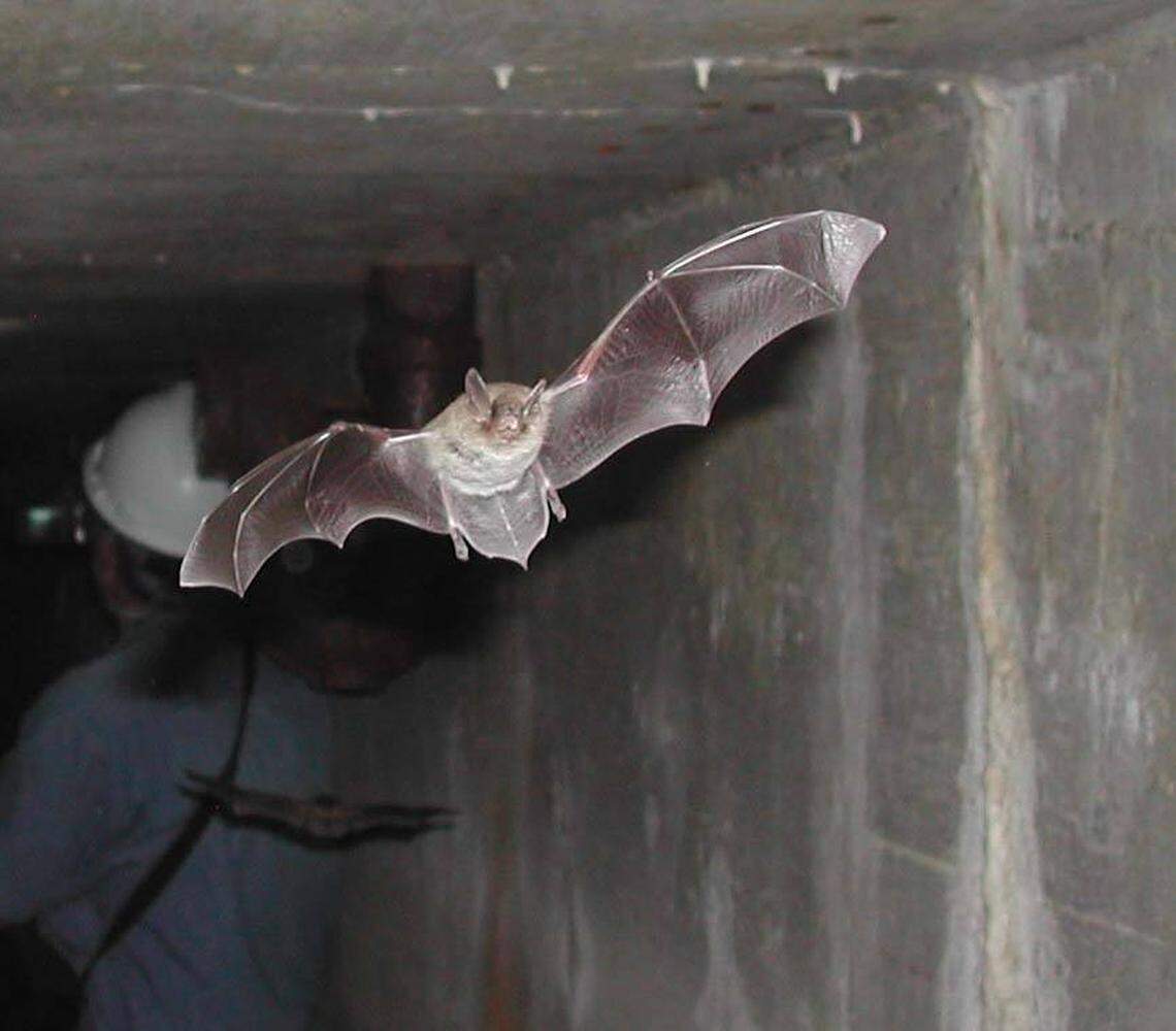 Department of Energy