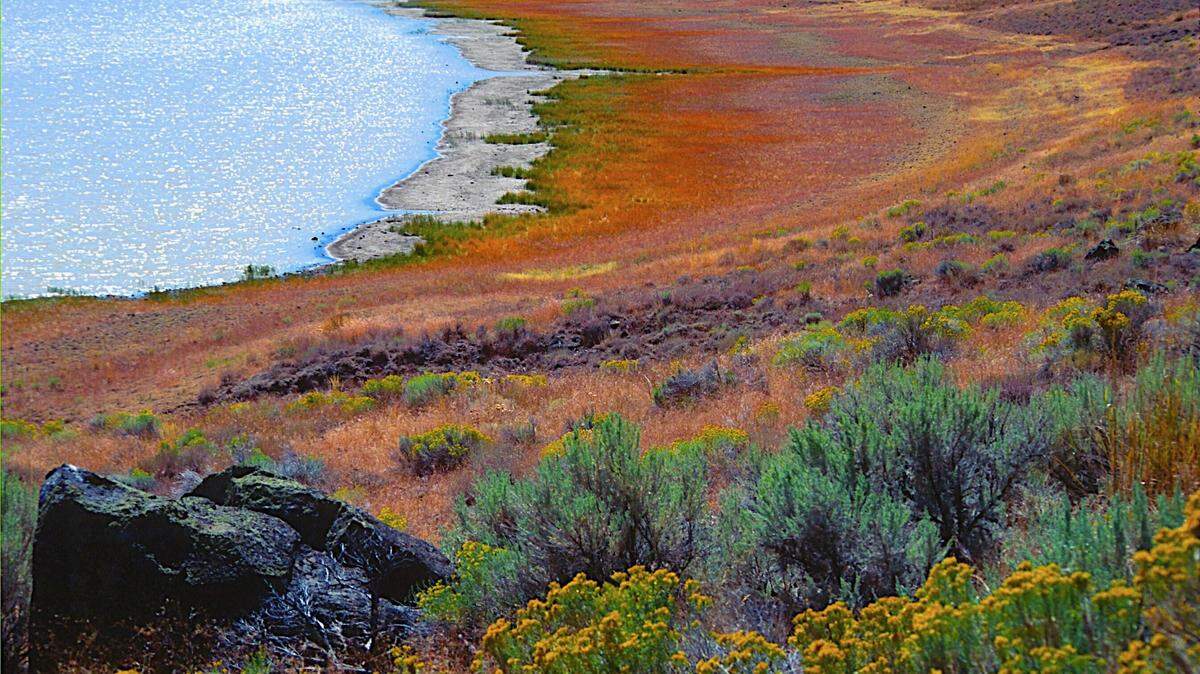 Scientist Melvin Adams has a deep love of Eastern Oregon where he grew up. Petroglyph Lake is one of the places he writes about in his book, “The Sagebrush Curtain”.
