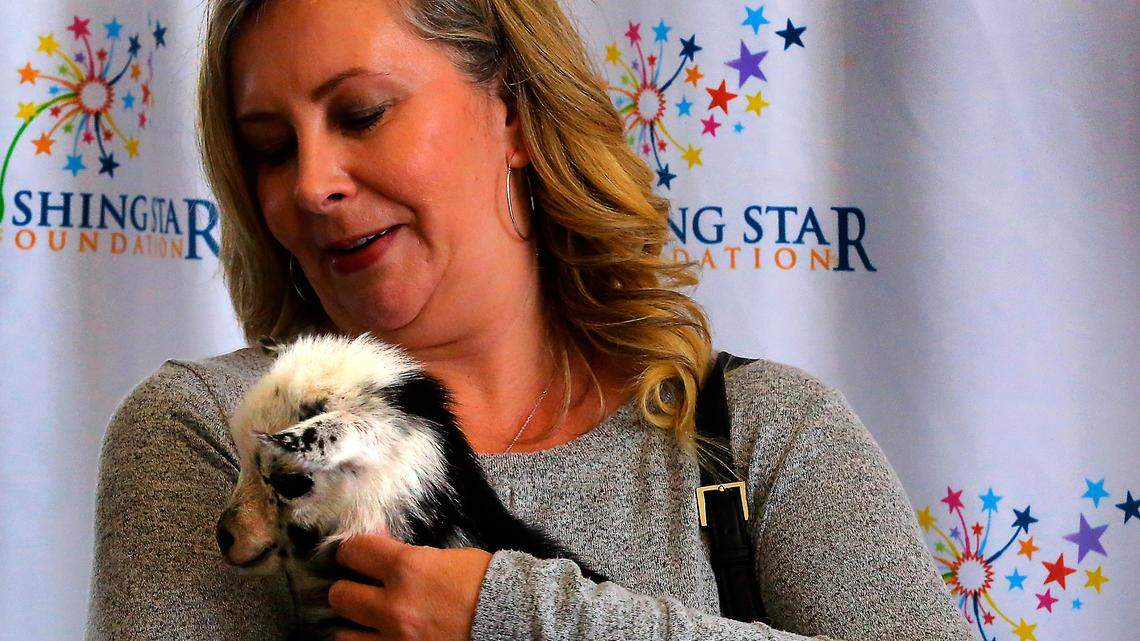 This fan-favorite, furry fundraiser is back in the Tri-Cities. We’re not KIDding around