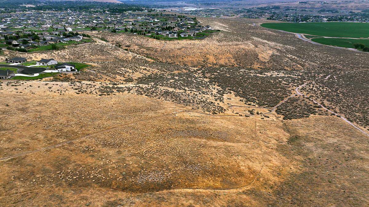Benton County is applying for a trust land from DNR for a potential future mountain bike trail. The DNR land is this 270 acre plot south of Summit View shown her from near the end of Grandview Lane.
