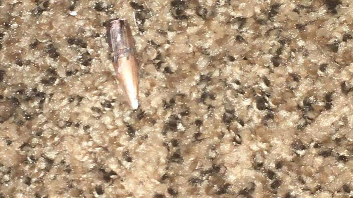 Kennewick police are trying to determine where a bullet came from that landed inside a Dennis Place home Friday afternoon.
