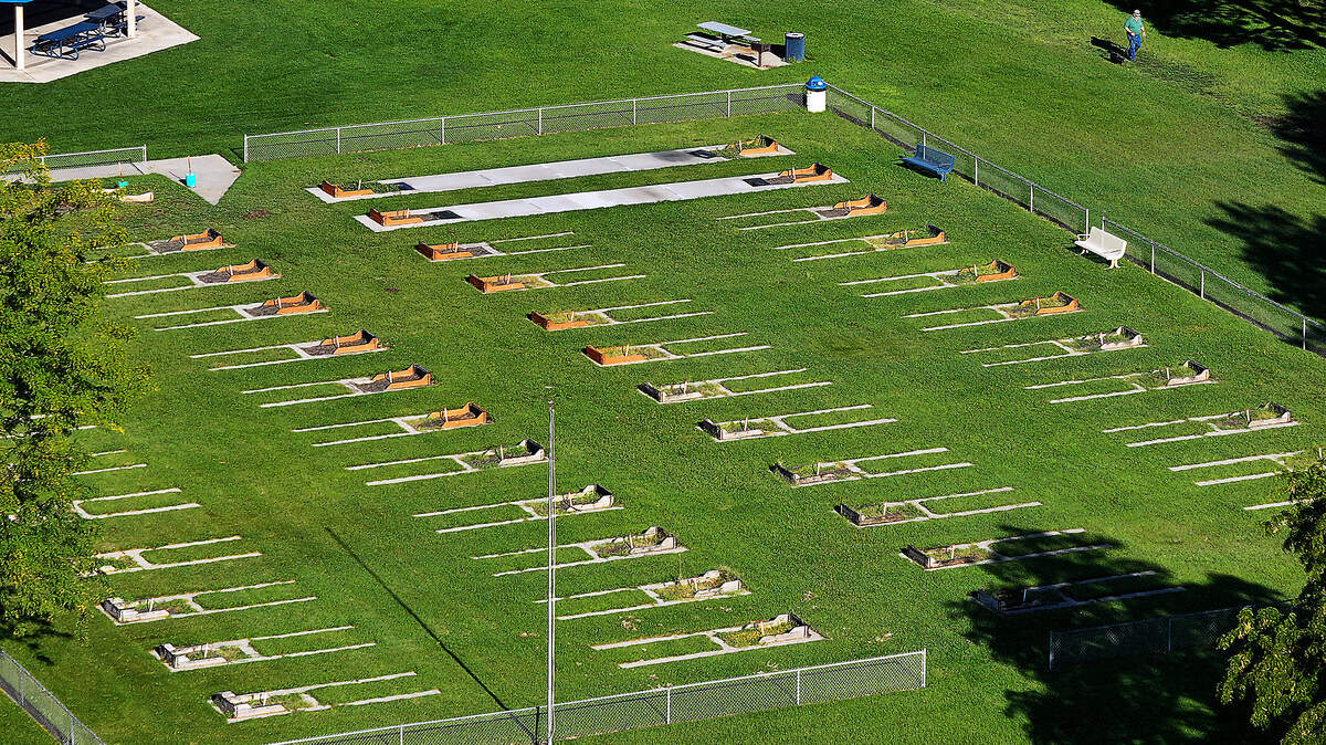 Kennewick emerging as hotspot for competitive horseshoes. Get in on the fun