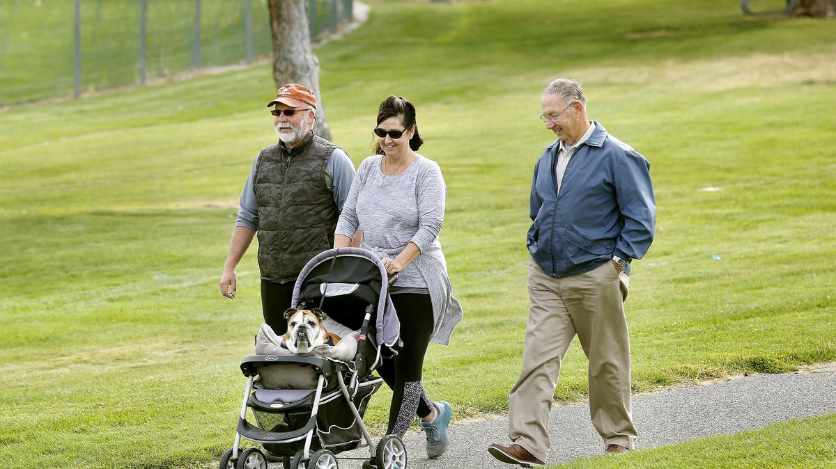 Sweet Lou, an 11-year-old English bulldog, gets royal treatment and a comfortable stroller ride Friday during an outing with his owners Barbara and Kurt Waggoner, left,  and her father, Don Darsow, at Lawrence Scott Park in Kennewick.