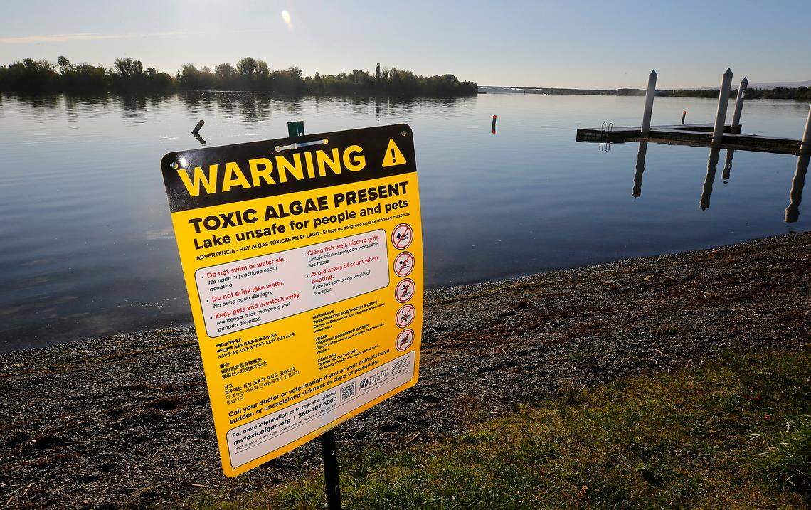 The Benton Franklin Health District has posted numerous signs warning that people and their pets should stay out of the Columbia River at Richland as tests continue to show high levels of toxic algae in the water at the Howard Amon Park swim beach.