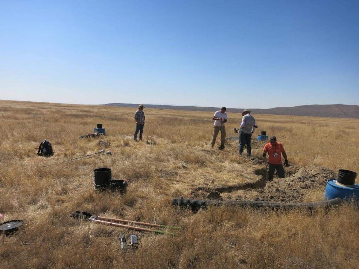Hanford nuclear reservation workers install an artificial burrow to provide a nest for burrowing owls.