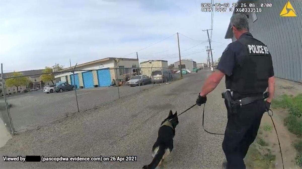 Pasco police used a dog to search for a cellphone store robbery suspect April 23.