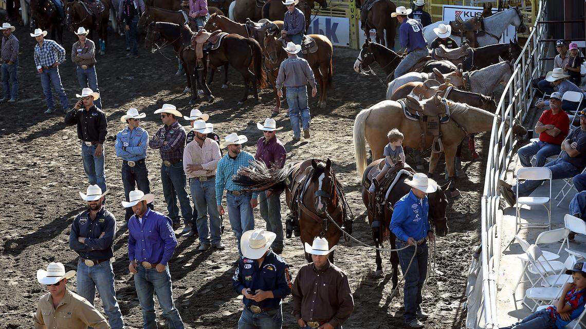 ‘Future of agriculture.’ Livestock contests thrive at Benton Franklin Fair