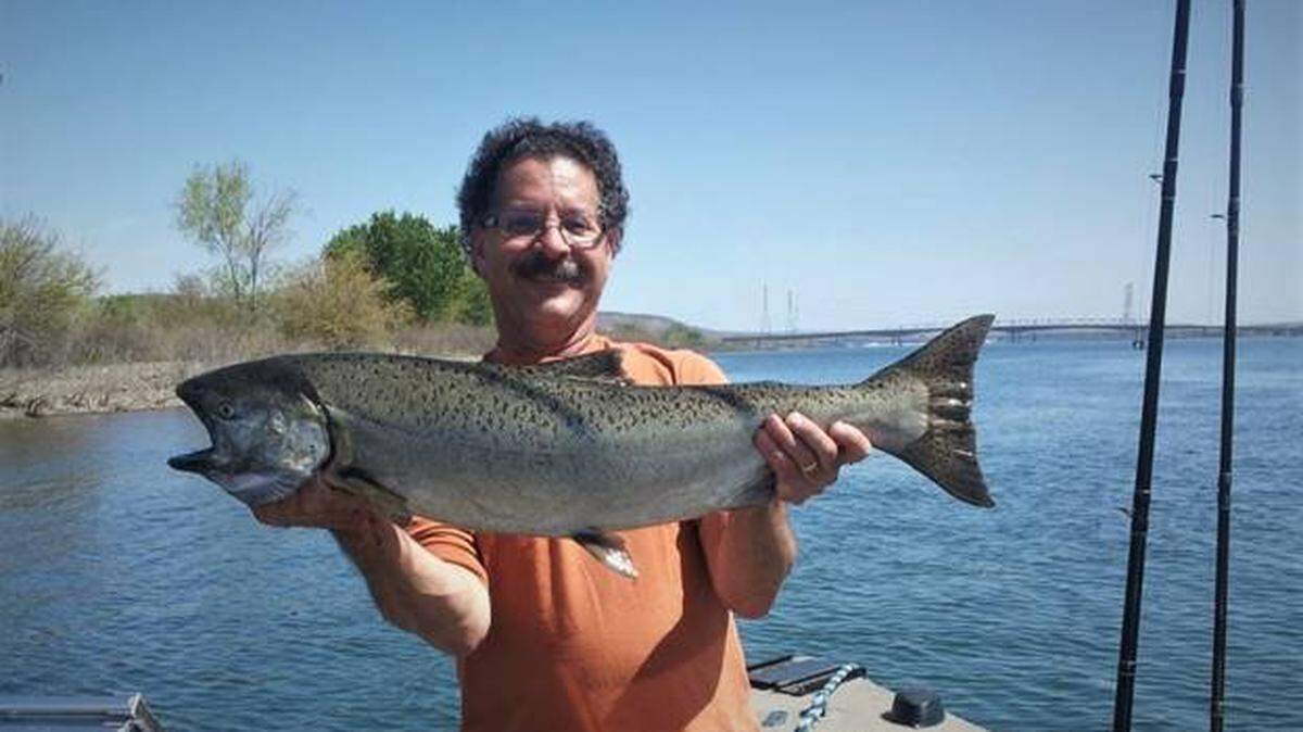Chinook and sockeye seasons are in full swing on the Columbia River.