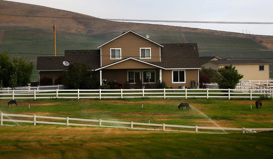 Horses feed in a pasture behind this home on East Reata Road the day after Benton County Sheriff deputies found the body of counselor Jenna Olafson.