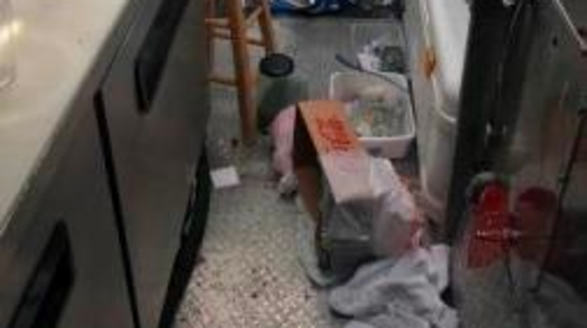 Kennewick police are hunting for the suspects that trashed a Bruneau Avenue taco truck.