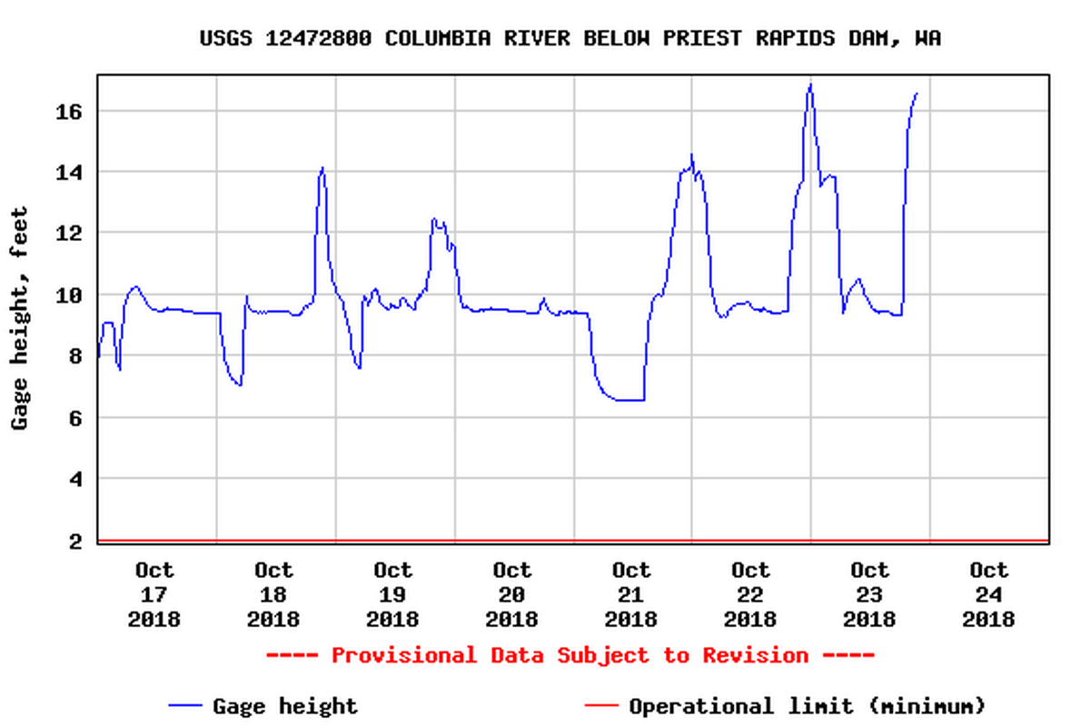 Steelhead anglers should take note that power peaking operations at Priest Rapids Dam can alter the water surface elevation 4 to 8 vertical feet over the course of a day.