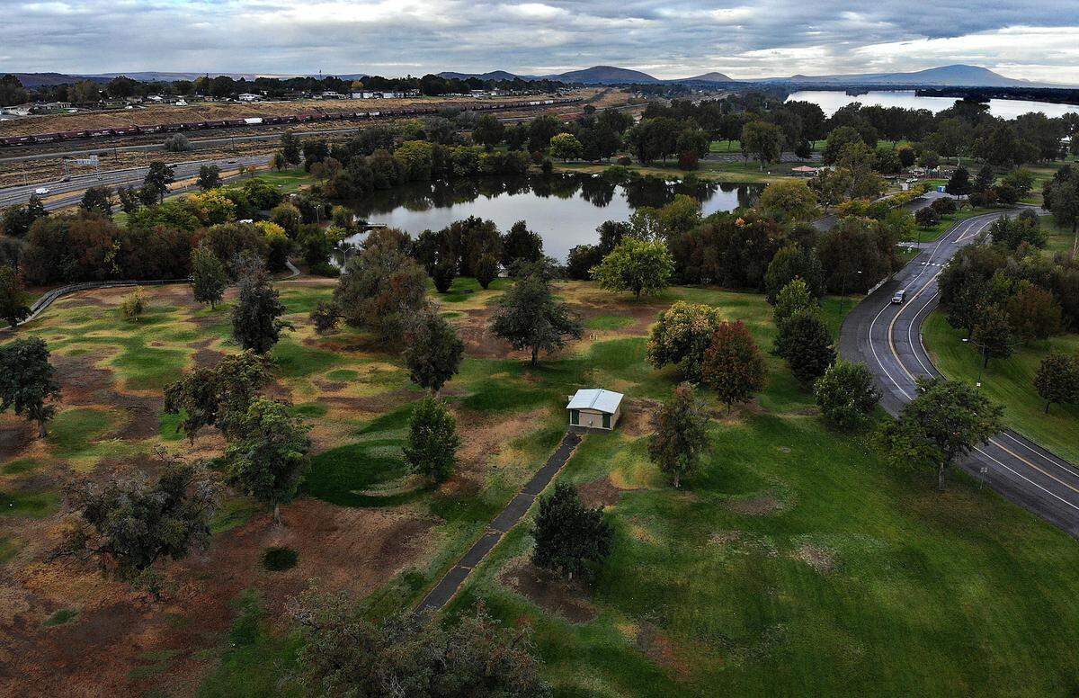 The Kennewick’s Parks and Recreation Commission is exploring the possibility of siting the new dog park on this estimated 5-acres just east of fishing pond in the east end of Columbia Park.