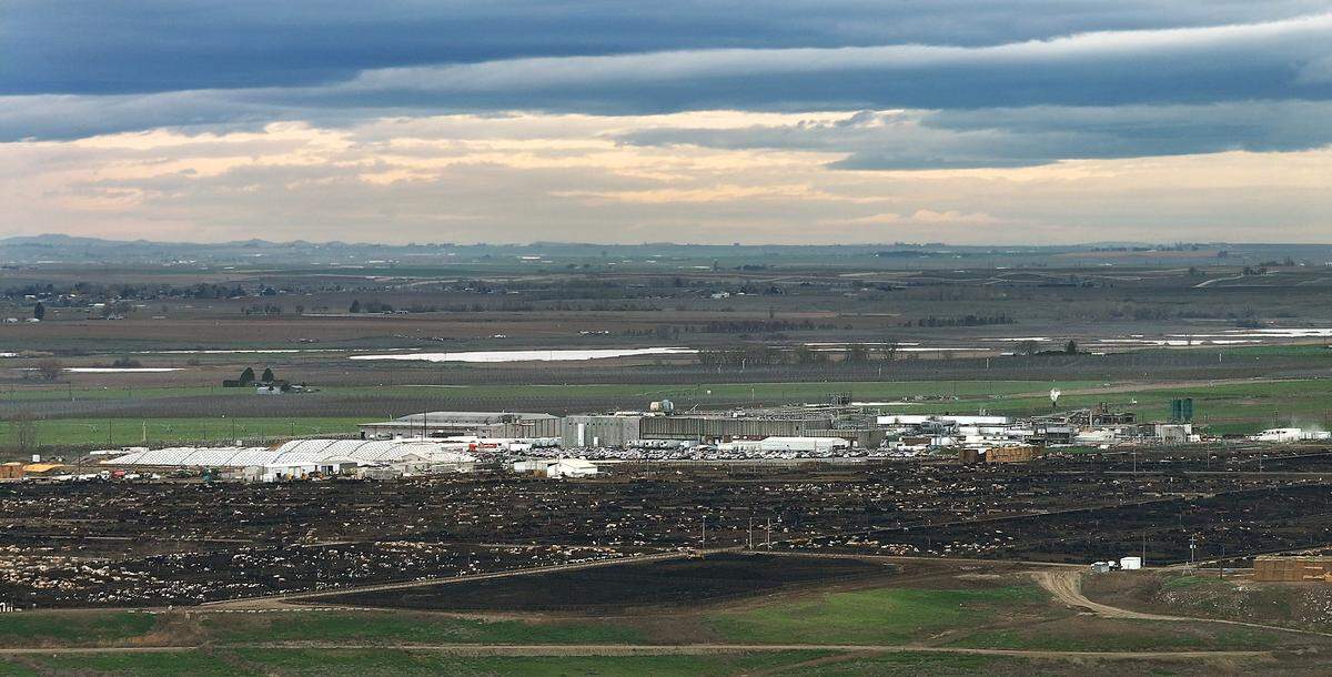 Simplot Feedlots near the Tyson Fresh Meats plant at Wallula in Walla Walla County.