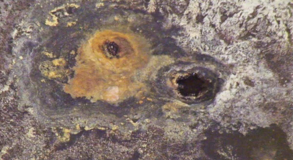 Pitting is shown in the bottom of the inner shell of Hanford Tank AY-102, which was emptied of radioactive waste after the waste was discovered to be leaking into the space between its shells.