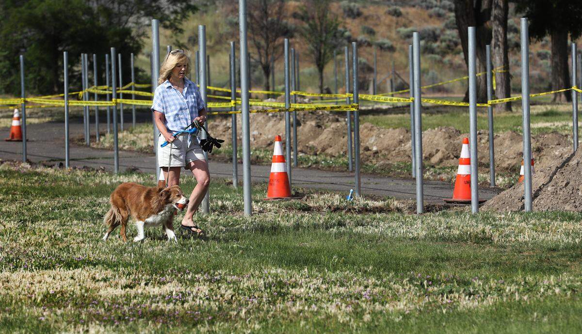 Pam Oakes of Kennewick leads her border collie named Emmy around the recently installed fence posts for the new dog park area being constructed in the east end of Columbia Park.