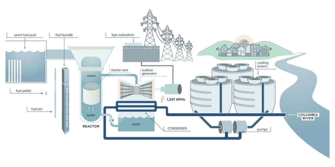 This diagram shows the process used by the Columbia Generating Station near Richland, Wash., to power the electric grid.