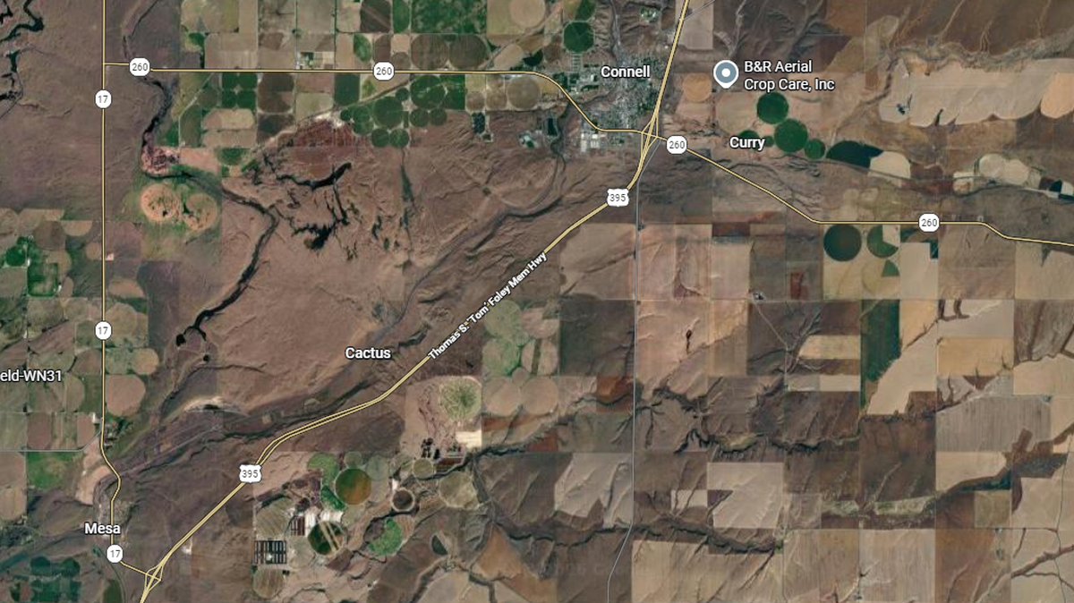 An Everett man was killed after running into traffic on Highway 395 about 6:20 a.m. Thursday.