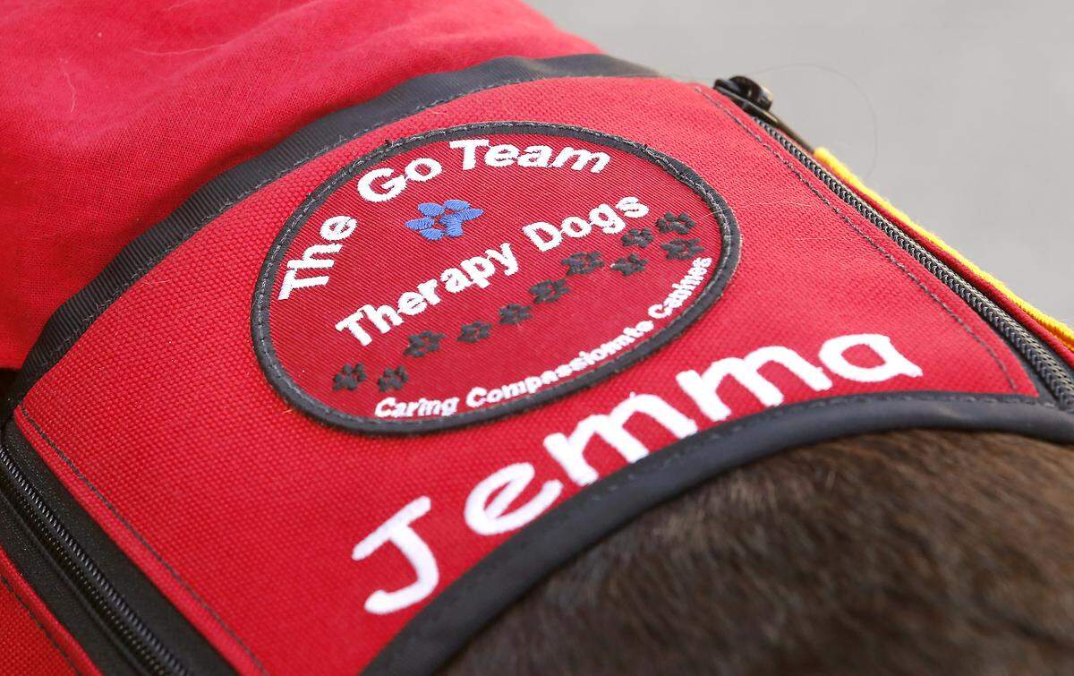The colors of the GO TEAM therapy dog patch each have meaning. Red honors first responders, black honors fallen military members,blue honors law enforcement and white remembers those special people who are no longer with us.