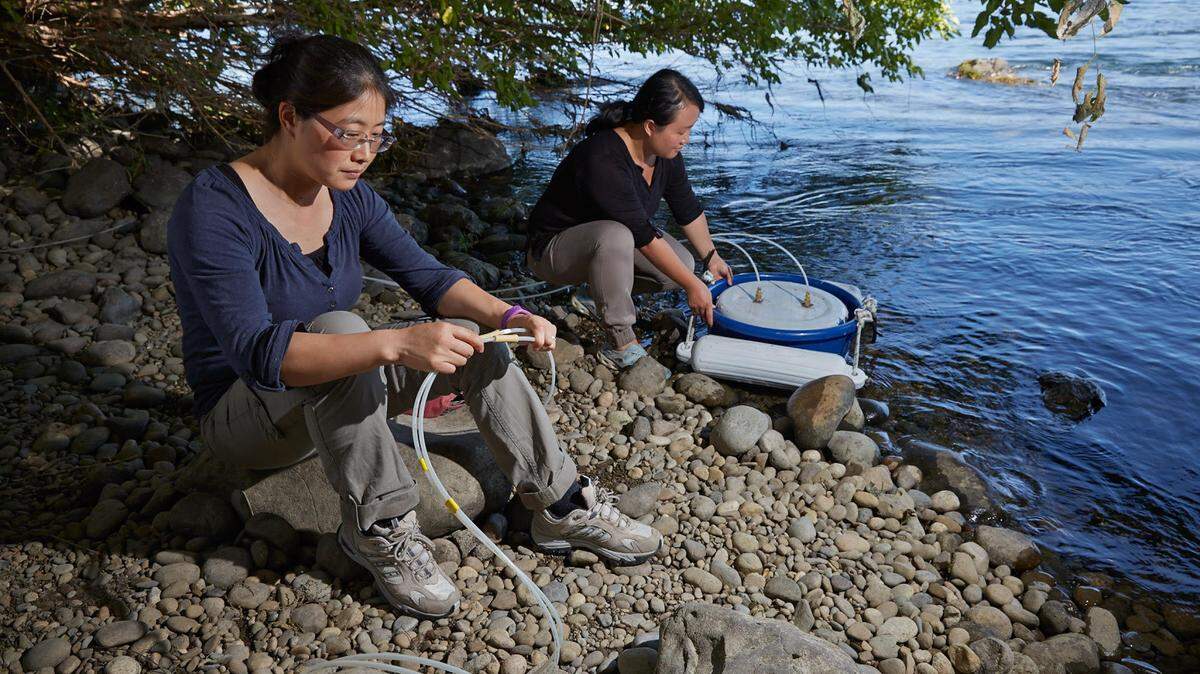 The Columbia River offers a living laboratory for PNNL researchers, including Earth scientists Xingyuan Chen (left) and Maoyi Huang, shown here taking measurements of greenhouse gas emissions from areas where shallow groundwater and surface water mix.