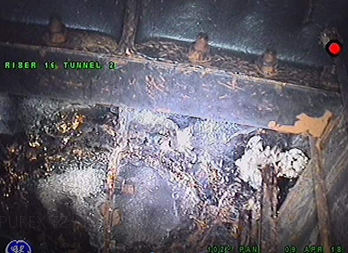 Video shot inside the second radioactive waste storage at Hanford showed corrosion of metal parts in spring 2018. The tunnel was built in 1964.