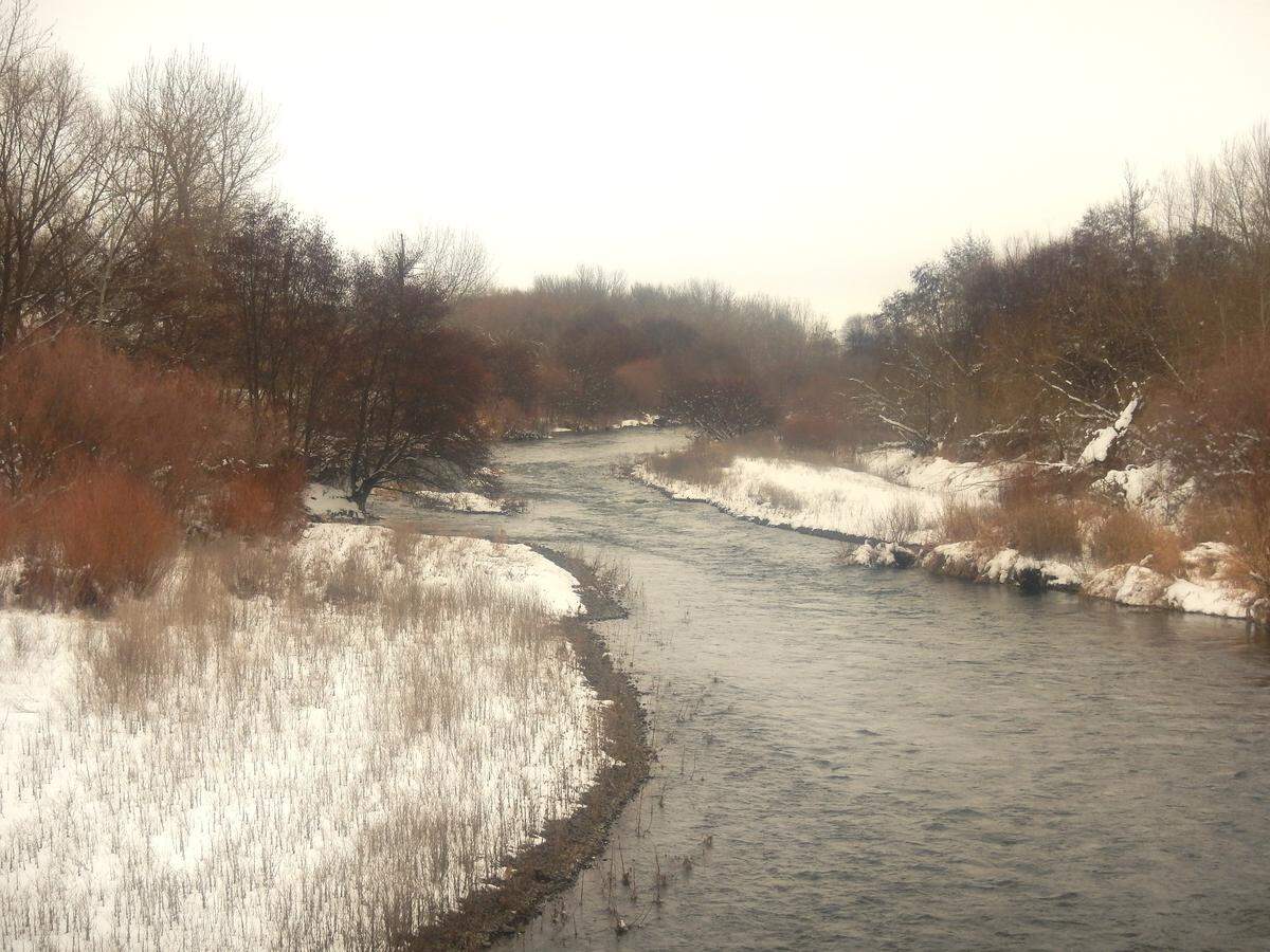 A wintertime scene from the Walla Walla River near Touchet.