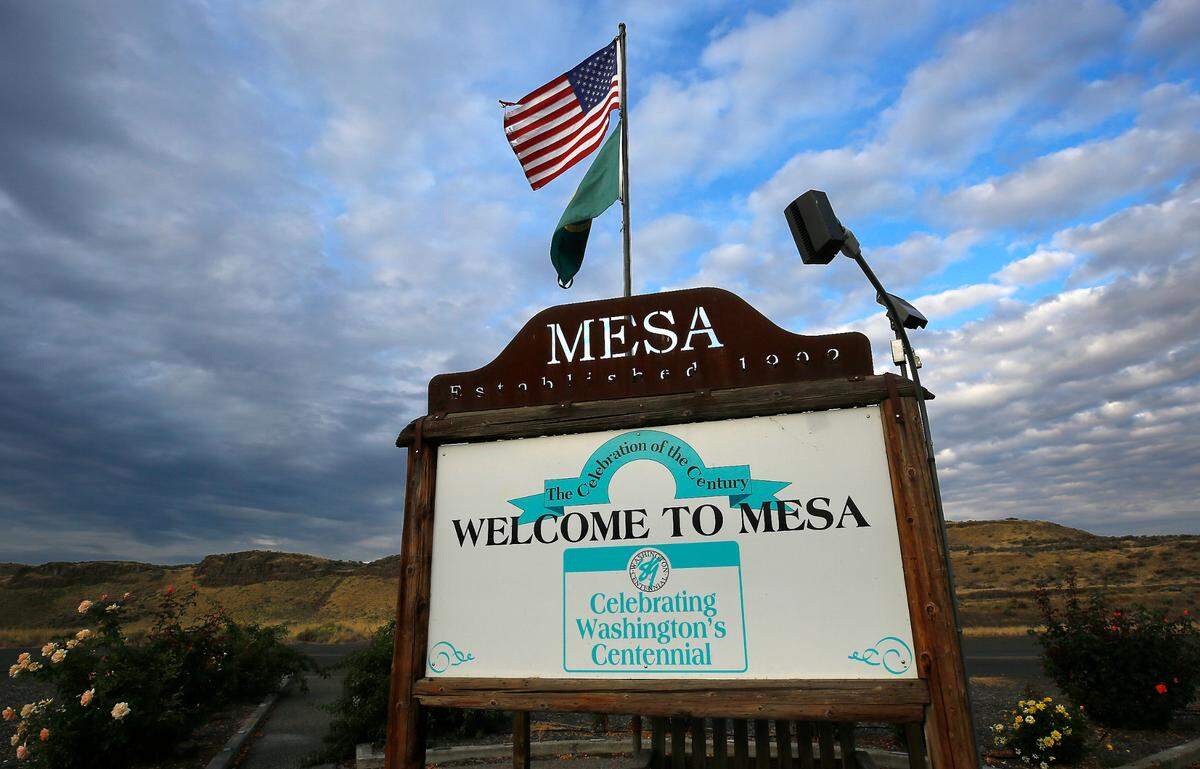Mesa is a small agriculturally driven community of about 490 people about half an hour north of Pasco in Franklin County. Mesa began as a stop between Eltopia and Palouse Junction in 1883, and was first homesteaded by the Poe family in 1887, two years before Washington became a state.