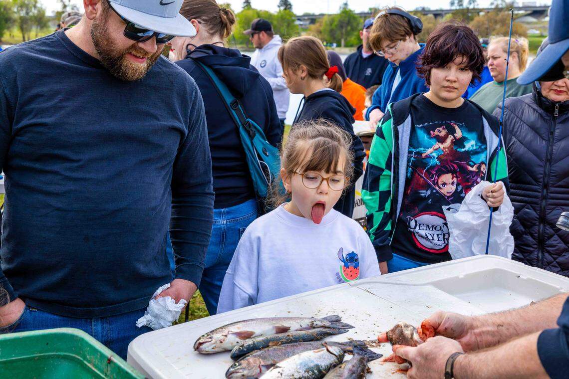 Lucy Atkinson, 8, of Kennewick reacts as volunteers clean trout during Kids Fishing Day at Columbia Park Pond in Kennewick. She said cleaning fish was the “gross” part of the experience.