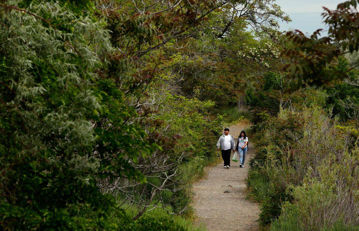 Miguel Corona, left, and Laura Chavez, both of Pasco, head back their car after walking on Bateman Island recently in Richland. Ticks are loving this spring’s wet weather in the Tri-Cities area and a recent social media post said one person found 40 ticks on their dogs, themselves and in their house after a visit to Bateman Island.