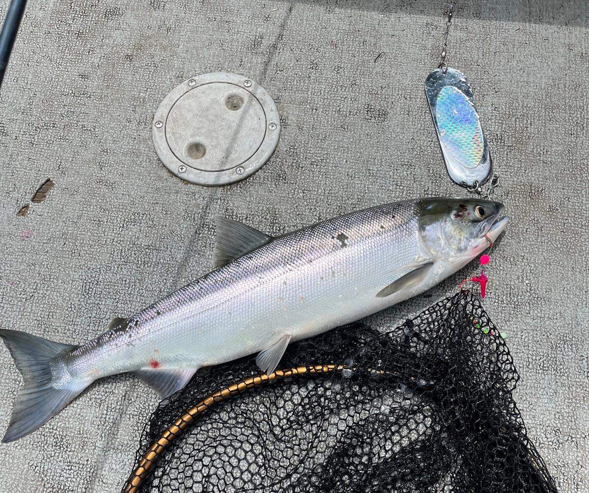 Anglers may need to seek new water to work lures with this year’s change in water condition.