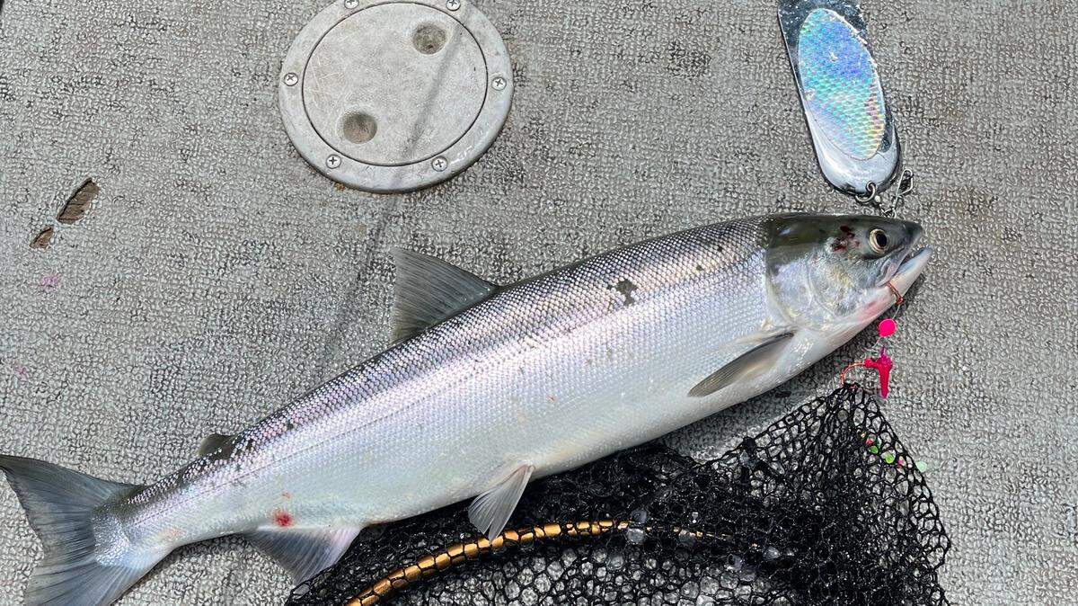 Anglers may need to seek new water to work lures with this year’s change in water condition.