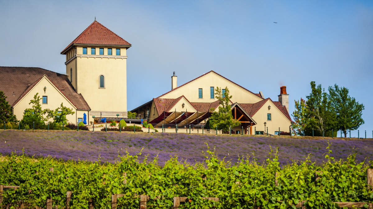 King Estate Winery near Eugene, Ore., is the largest Biodynamic vineyard in the United States.