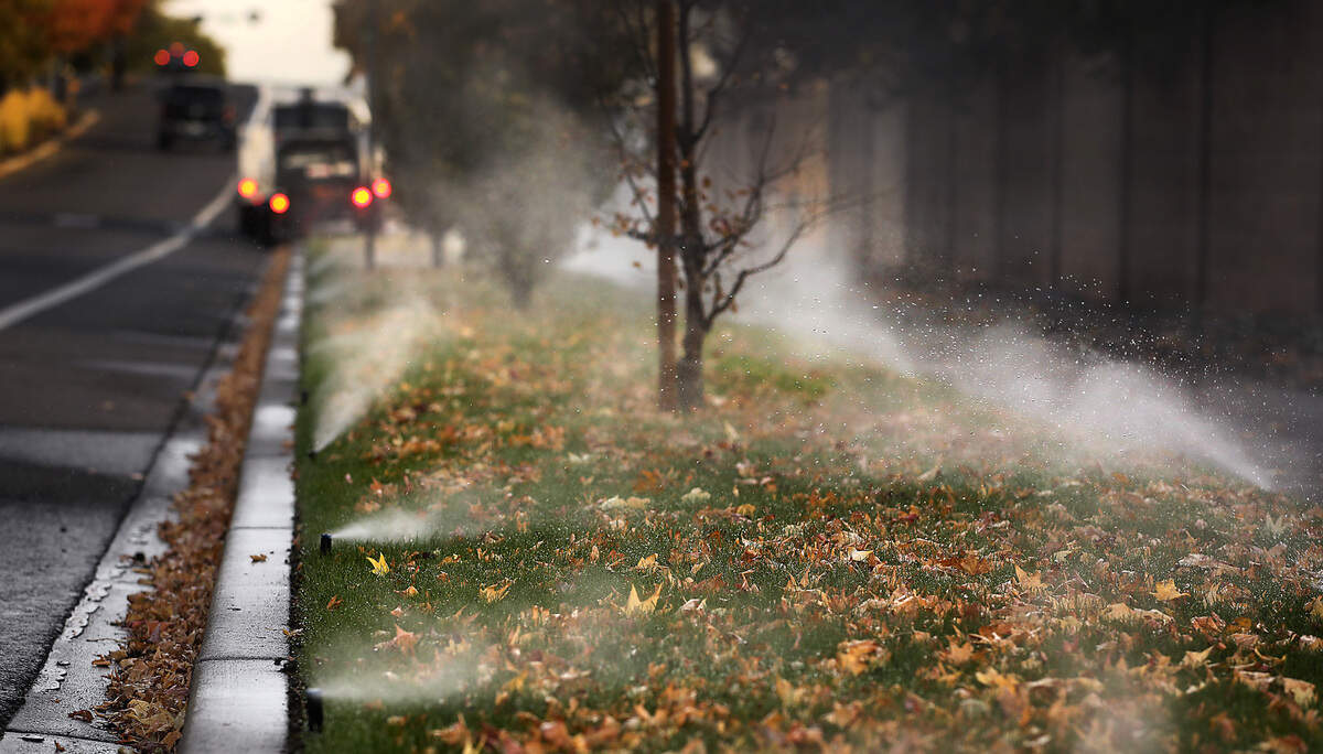 A landscaping company blows out sprinklers, in preparation for freezing winter temperatures, along South Kellogg Street near the Creekstone housing development in Kennewick.