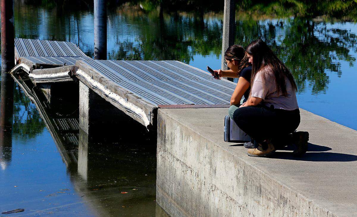 Environmental health technicians Gracie Jimenez , left, and Ann Martinez of the Benton Franklin Health District document conditions of the Columbia River in the Tri-Cities area in a check for toxic algae.