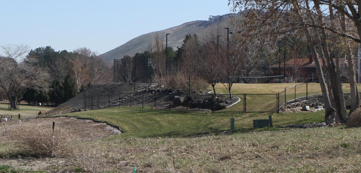 Benton County sheriff’s deputies killed two dogs that were running loose off of Lois Lane near 10th Avenue and Hansen Park.