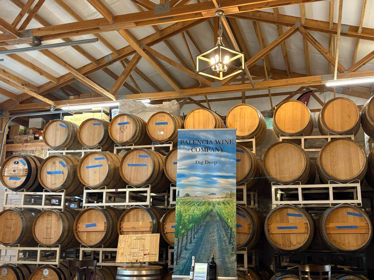 The tasting room at the Palencia Estate showcases many wine barrels.
