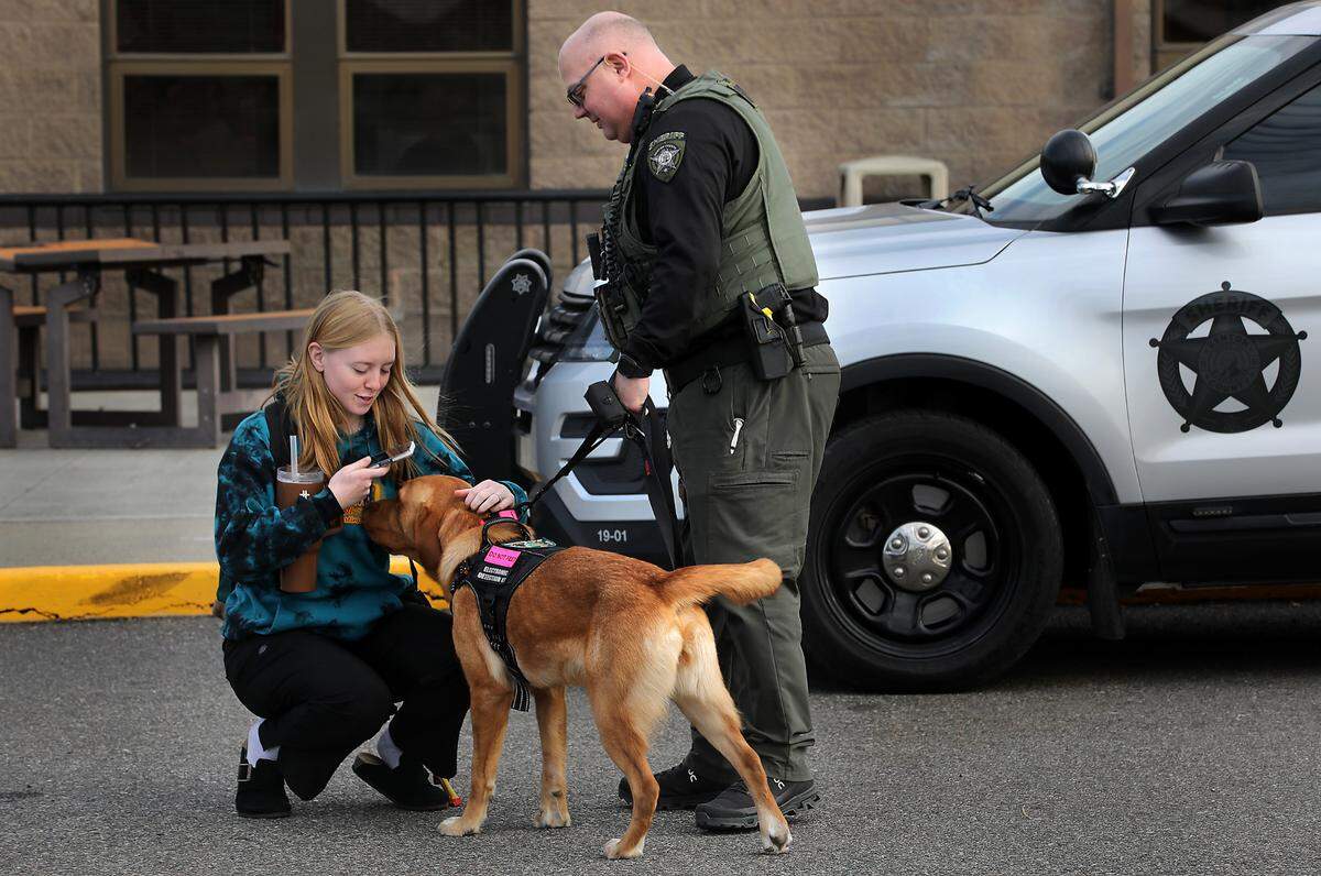 River View High senior Helyn Brown greets Benton County deputy Brett Hansen, the Finley school’s resource officer, and the agency’s newest K9 officer named Blaze.