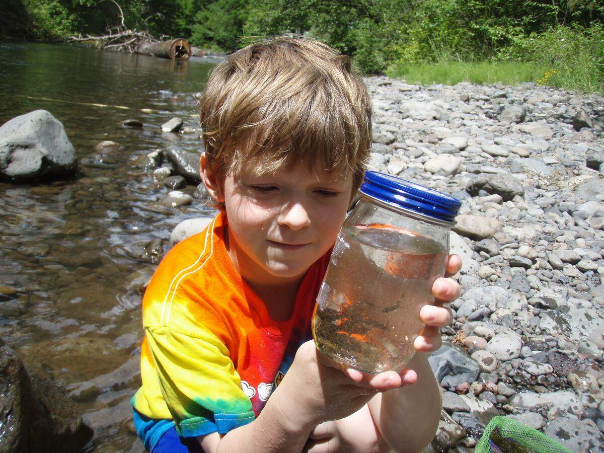 Catching crayfish and minnows provides a useful diversion for youngsters when trout aren’t rising to the fly, as Adam Dauble can attest.