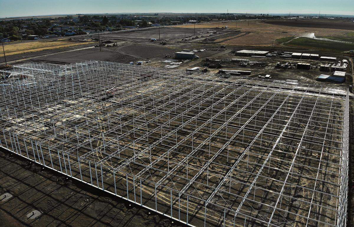 Work is underway on the 3-acre greenhouse and packaging facility for Local Bounti on a parcel just south of A Street between Elm Street and Oregon Avenue in Pasco.