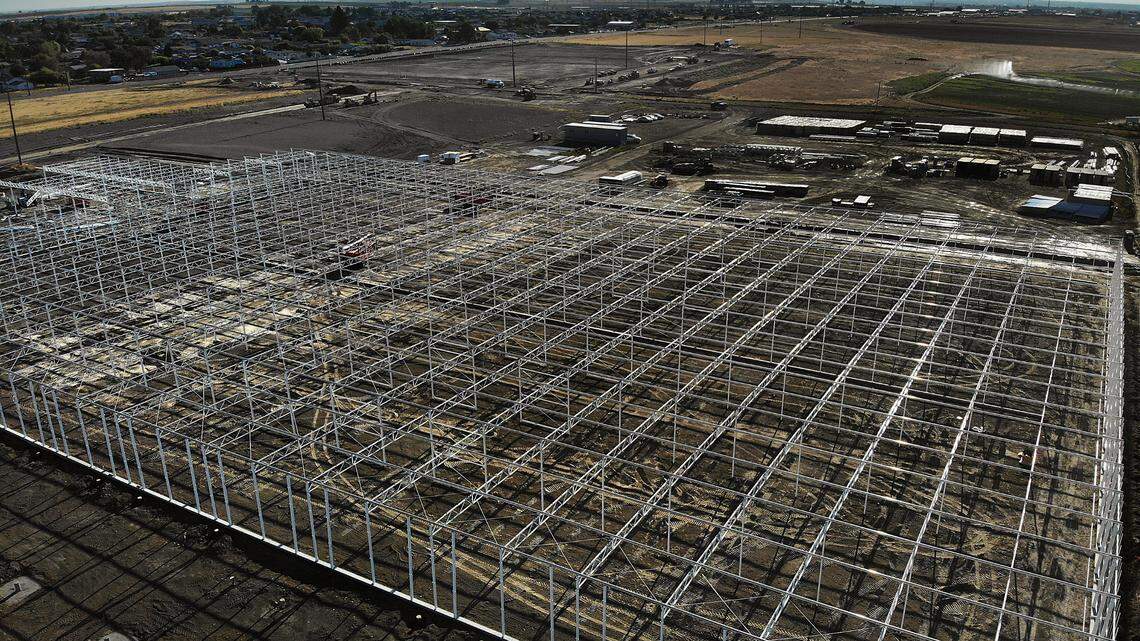 First came Amazon. Then Darigold. Now, 3 acres under glass take shape in Pasco